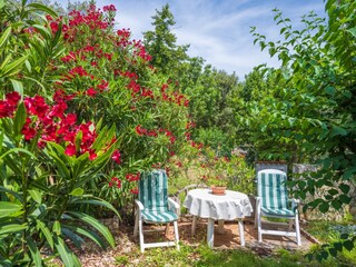 Appartamento per vacanze Ravni Caratteristiche 22