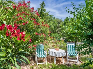 Vakantieappartement Ravni Kenmerken 21