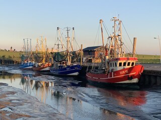 Hafen