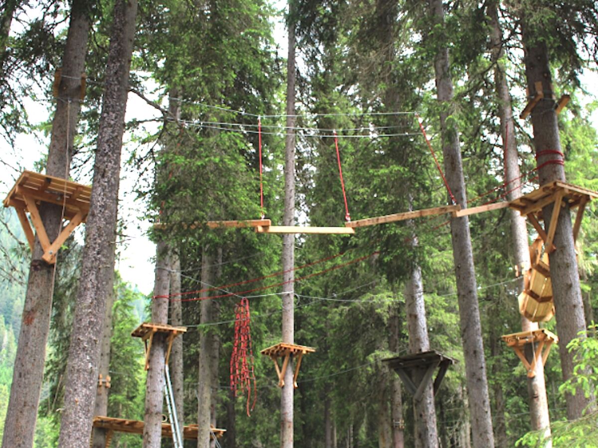 Abwechslung Hochseilgarten