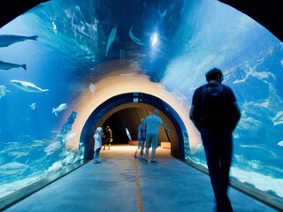 Casa per le vacanze Kramerhof Ambiente 15