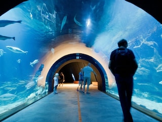 Maison de vacances Kramerhof Environnement 15