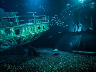 Ozeaneum in Stralsund