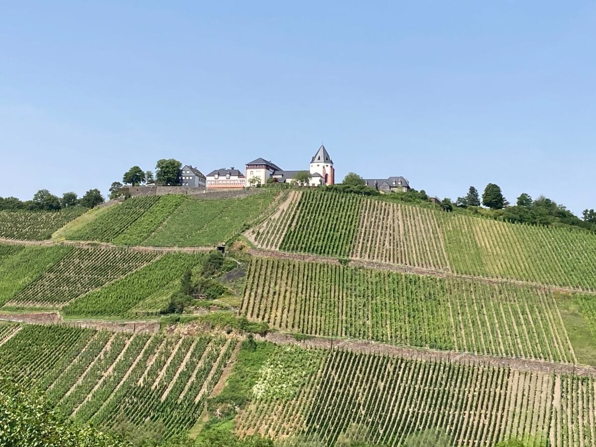 Blick auf Marienburg