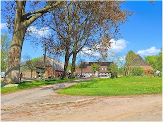 Ferienhaus Landliebe an der schönen Ostsee