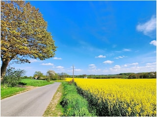 Ferienhaus Landliebe an der schönen Ostsee