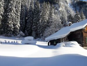 Apartment Waldhäuslhütte - Rohrmoos (Dachstein) - image1