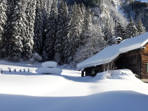 Apartment Waldhäuslhütte