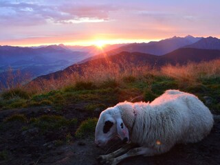 Sonnenaufgang auf der Gasselhöhe - Reiteralm