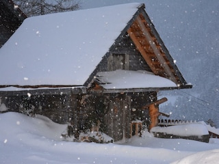 winterliches Schneegestöber