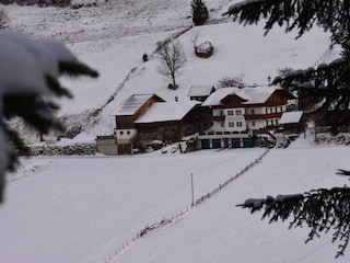 winter
