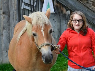 Pferd Bianca