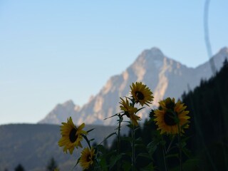Dachsteingebirge