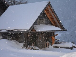 winterliches Schneegestöber