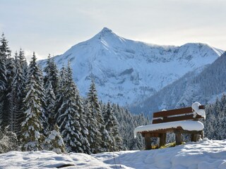 steirischer Kalkspitz im Winter