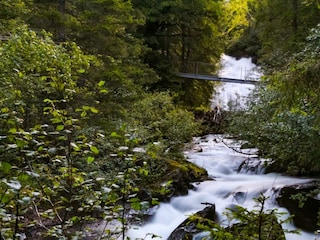 Wilde_Wasser