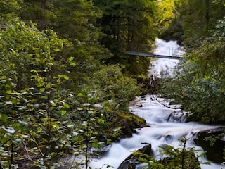 wilde_wasser