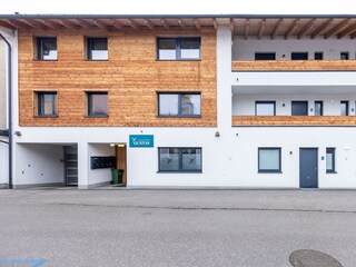 H_Steiner_4518 2