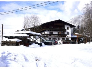 Ferienhaus Wildschönau-Tirol-A-T-W30