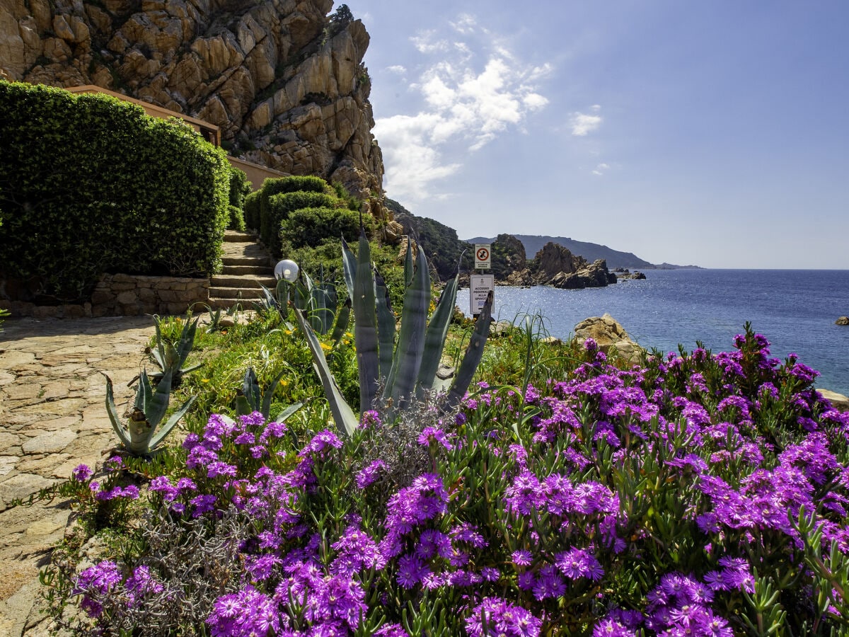 Holiday apartment Casa Turchese