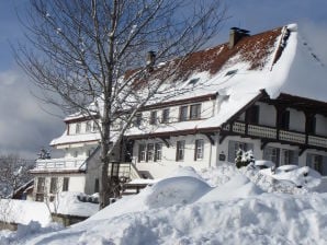 Ferienwohnung Im Sängerhaus - Ühlingen-Birkendorf - image1