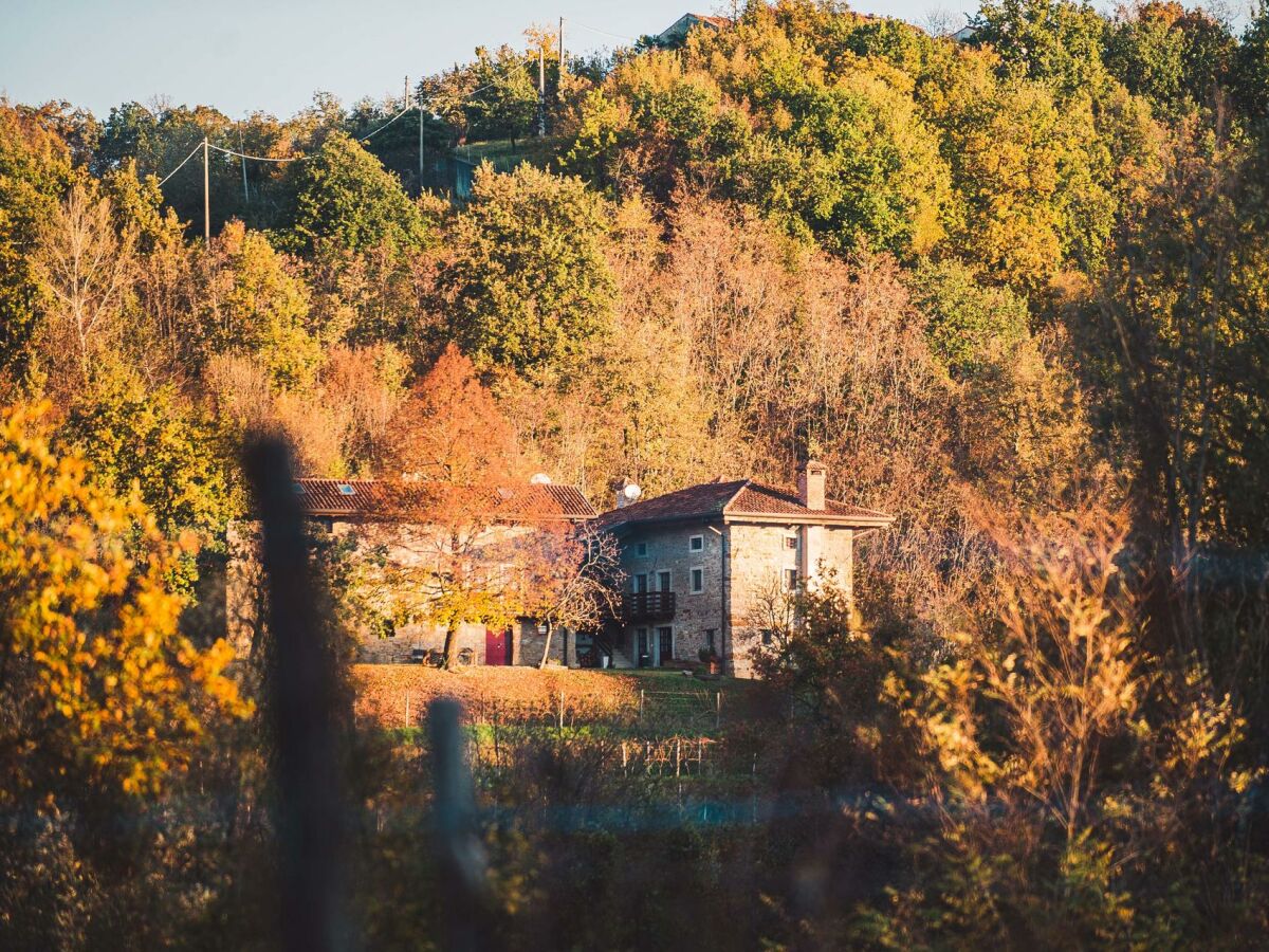 Bed & Breakfast Prepotto Außenaufnahme 1