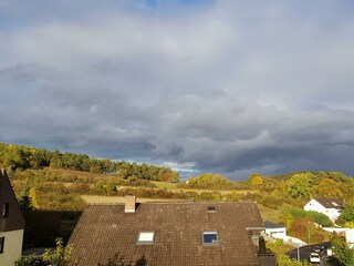 Blick vom Küchenfenster