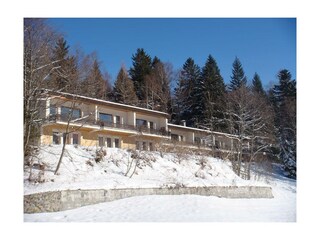 Birkenhof_Winter
