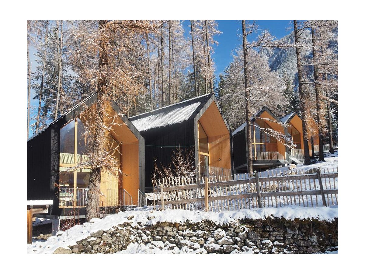 Winter-1