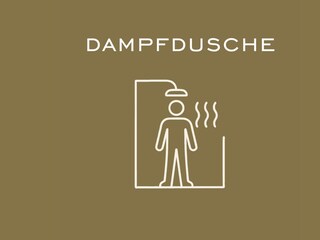 Dampfdusche 1