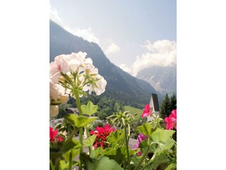 Blumen