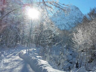 Winterwonderland