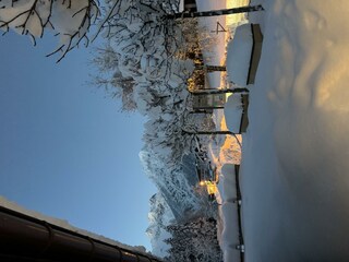 IMG_1553