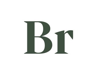 Logo_Brandnerhof_Gruen_RGB