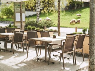 Brandnerhof-Newsletter-Saisonsbeginn-230514-JUK_PH