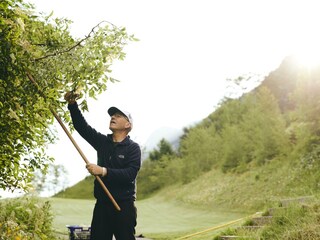 Peters-Holunderblütensirup