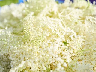 Peters-Holunderblütensirup