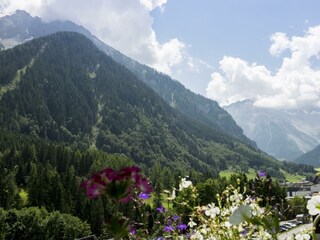 Valschena Aussicht Balkon Sommer