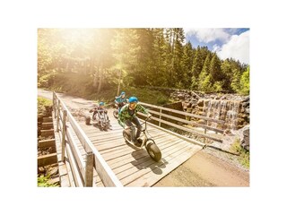 bikepark3
