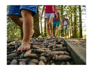 Fu?ße-am-Barfuß-Weg-(c)-Alex-Kaiser---Alpenregion-