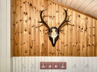 Haus_Fellner_BY_MATTHIAS_RHOMBERG_030