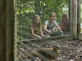 Tiererlebnispfad_Brand_(c)_Alex_Kaiser_-_Alpenregi