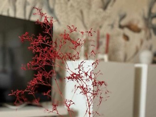 Apartment Vabriga Umgebung 41