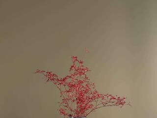 Apartment Vabriga Umgebung 42