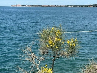 Apartment Vabriga Environment 70