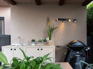 Apartment Vabriga Environment 108