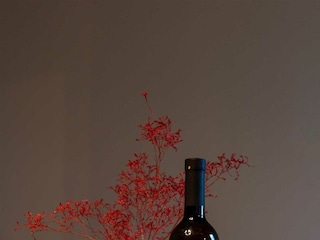 Apartment Vabriga Environment 111