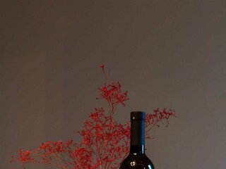 Apartment Vabriga Umgebung 111