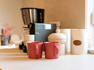 Apartment Vabriga Environment 116