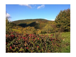 Burg Landeck